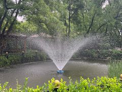 -太阳宫公园