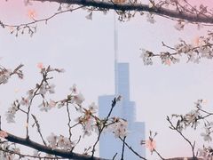 -紫峰大厦