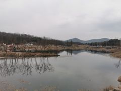 -佛手湖郊野公园