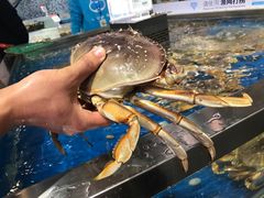 -盒马鲜生(莱蒙都会店)