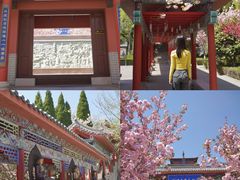 -石岛赤山风景区