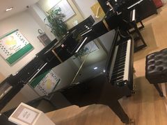 -柏斯琴行(汾阳店)