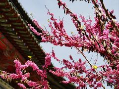 -滕王阁旅游区