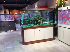 -山东柏宁水族批发广场