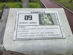 -滨河世纪广场公园