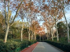 -西安市长乐公园
