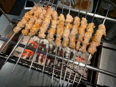 呼伦贝尔羊肉串-很久以前羊肉串(昌里路三钢里店)