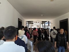 -长洲岛
