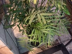 -汉堡王(宸悦路店)