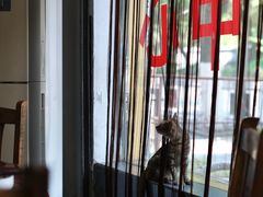 -香猪美食(中心店)