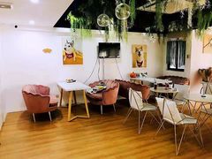 大堂-Husky Go! 哈士奇体验馆·宠物咖啡厅狗咖