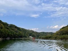 -黄椅山火山森林公园