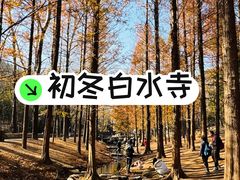 -白水寺森林公园