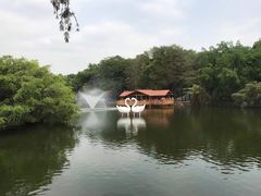 -深圳野生动物园
