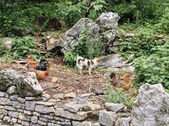 -高荡千年布依古寨旅游景区