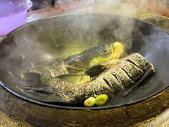 -好灶头妈妈菜·千岛湖土菜地标美食