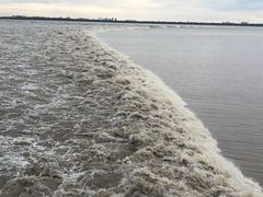 -观潮胜地公园
