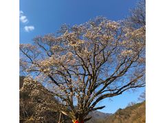 -黑河国家森林公园