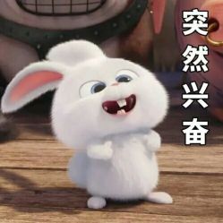 -蜜堂美业 