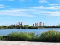 -水西公园