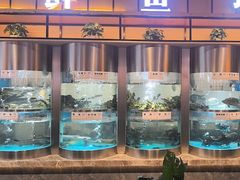 -老船舫·现做活鲜鱼馆(东郊记忆店)
