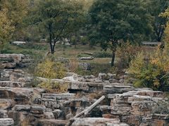 -太原动物园