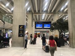 -戴高乐机场火车站