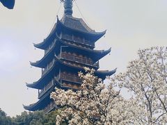 -常熟方塔园