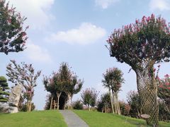 -南通洲际绿博园