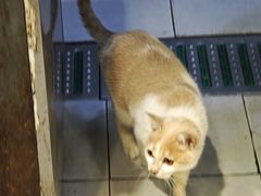 -顺丰面馆(打浦店)