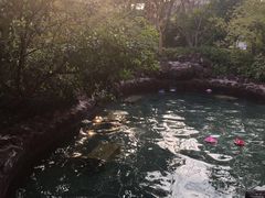 -苏州湾王焰温泉度假酒店
