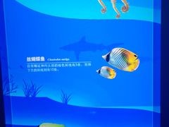 -广州海洋馆
