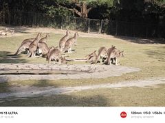 -上海野生动物园
