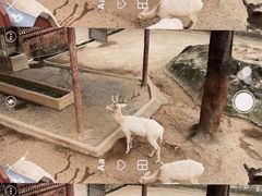 -深圳野生动物园