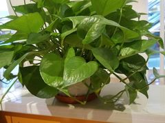 -鱼你在一起(南开天佑城店)