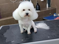 -美联众合动物医院(唯恩分院)