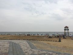 -碧海金沙