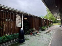 -梧桐庄园