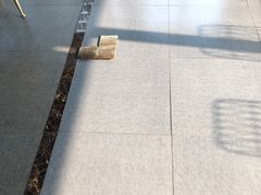 -帝京日语(春熙路旗舰校区)