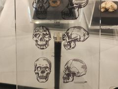 -北京周口店北京人遗址博物馆
