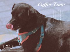 -欧邑咖啡小站 HLab Coffee