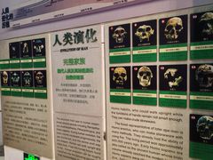 -烟台自然博物馆