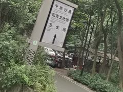 -广州市帽峰山景区