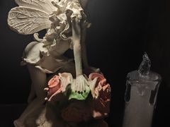 -雪灵魔法世界SHELLY’S TAROT(大良桂畔里店)