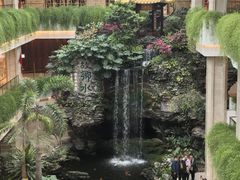 -广州白天鹅宾馆