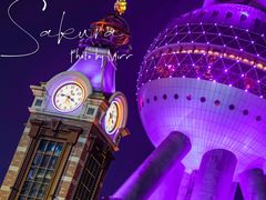 -东方明珠广播电视塔