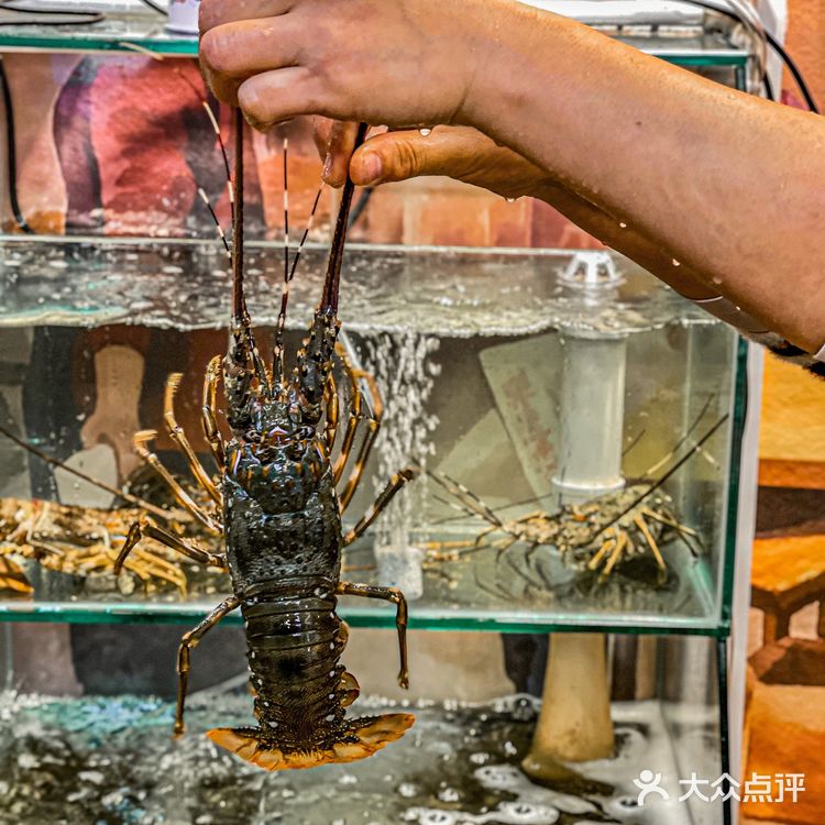 厦门美食 | 来厦必吃的龙虾沙茶面🦞 有够顶！