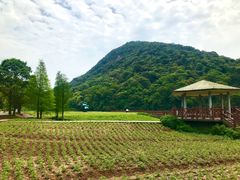 -广州市石门国家森林公园