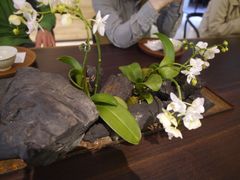 -微热山丘(台北民生公园门市店)