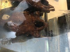 -王浩儿纪六孃甜皮鸭(乐山总店)